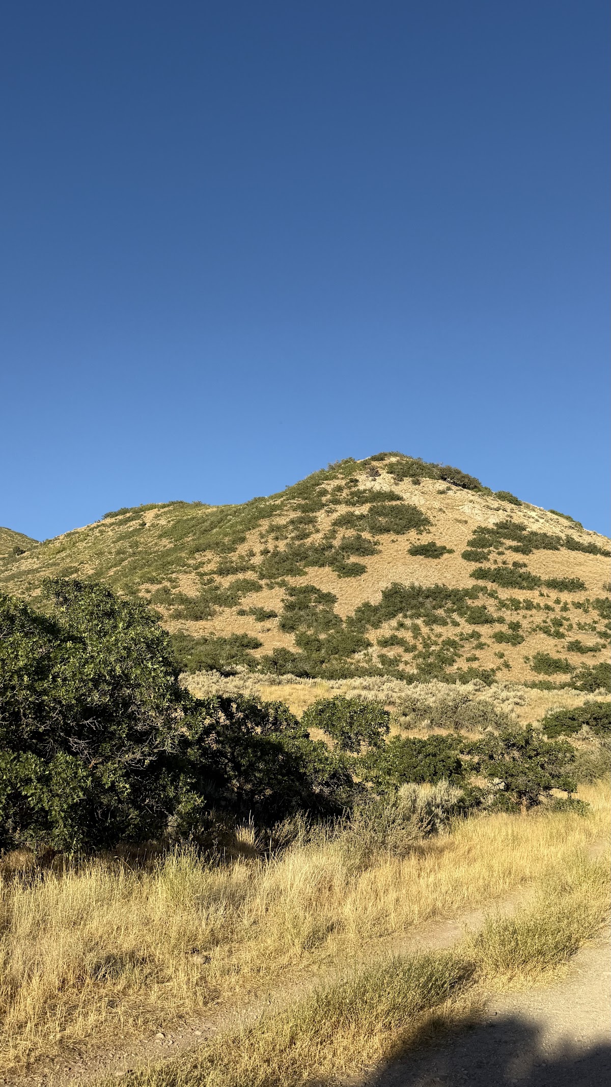 Bonneville Shoreline Trail in Salt Lake City - view (9)