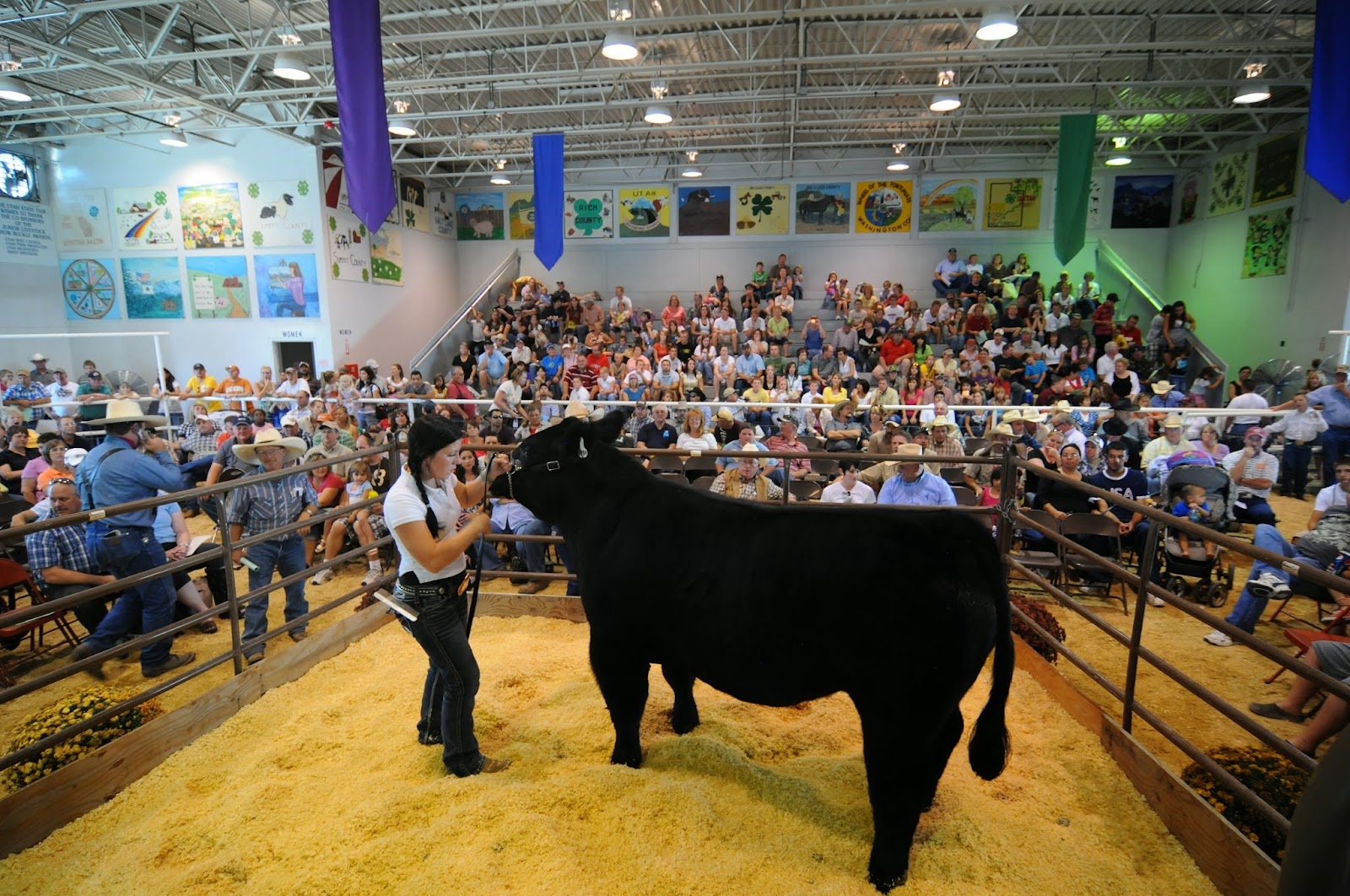 Utah State Fairpark in Salt Lake City - event venue (2)