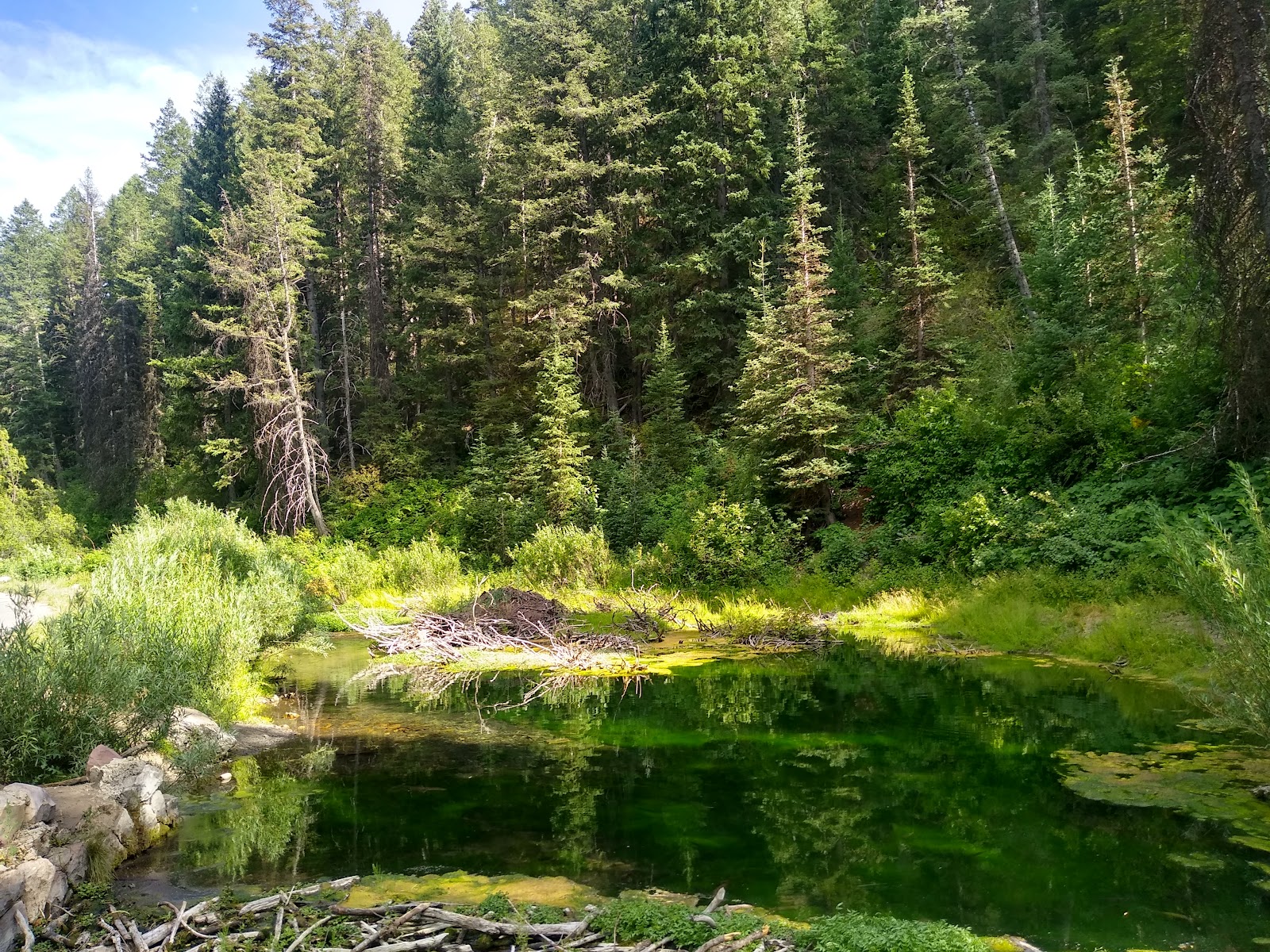 Millcreek Canyon in Salt Lake City - hiking area (4)