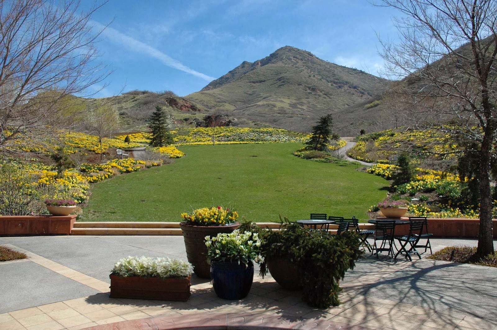Red Butte Garden and Arboretum in Salt Lake City - botanical garden (8)
