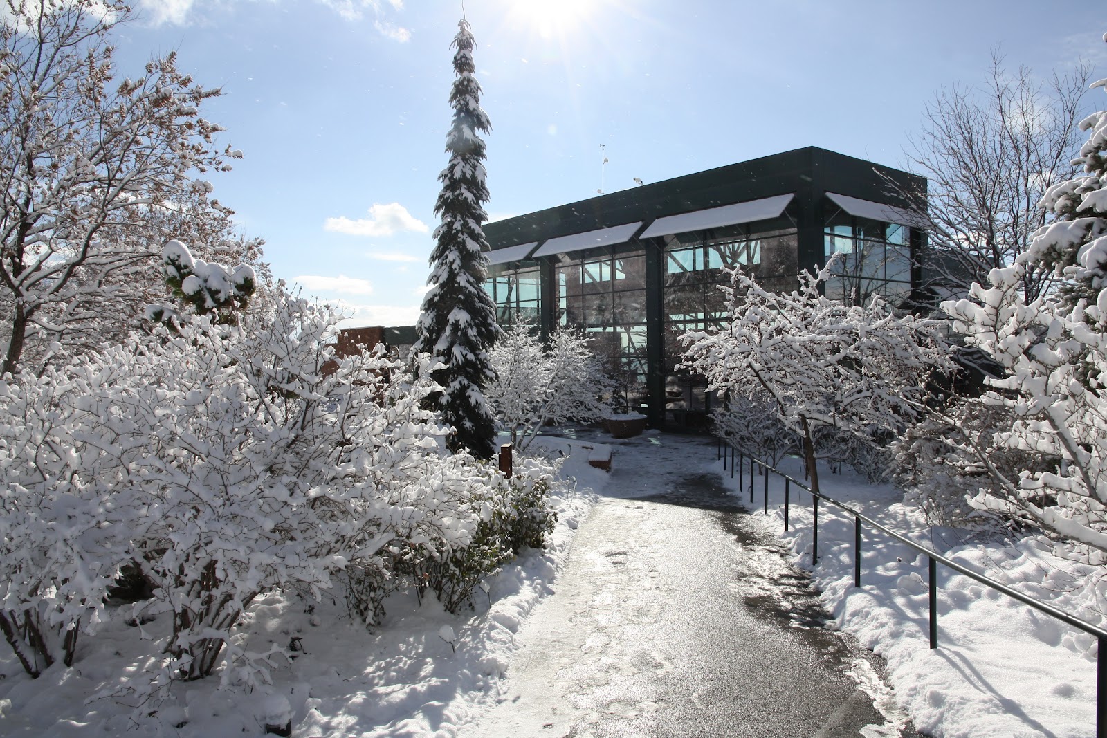 Red Butte Garden and Arboretum in Salt Lake City - botanical garden (5)