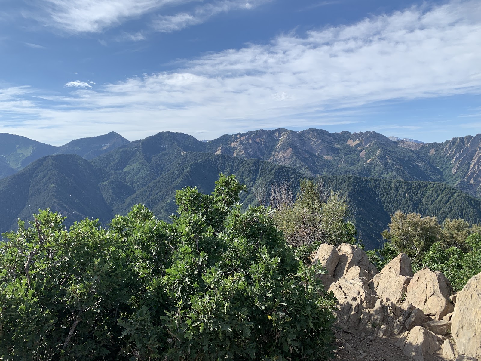 Millcreek Canyon in Salt Lake City - hiking area (6)