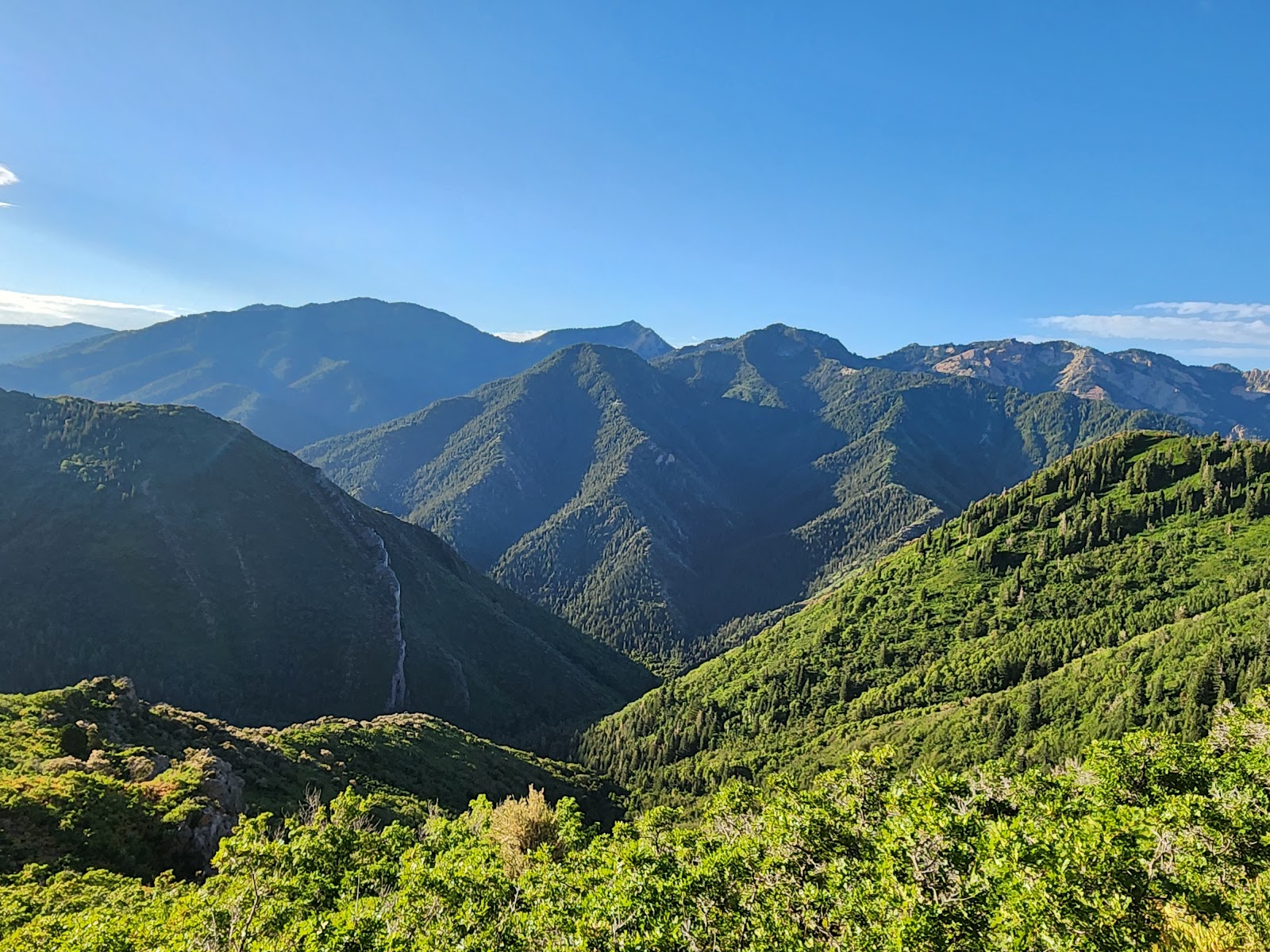 Millcreek Canyon in Salt Lake City - hiking area (9)