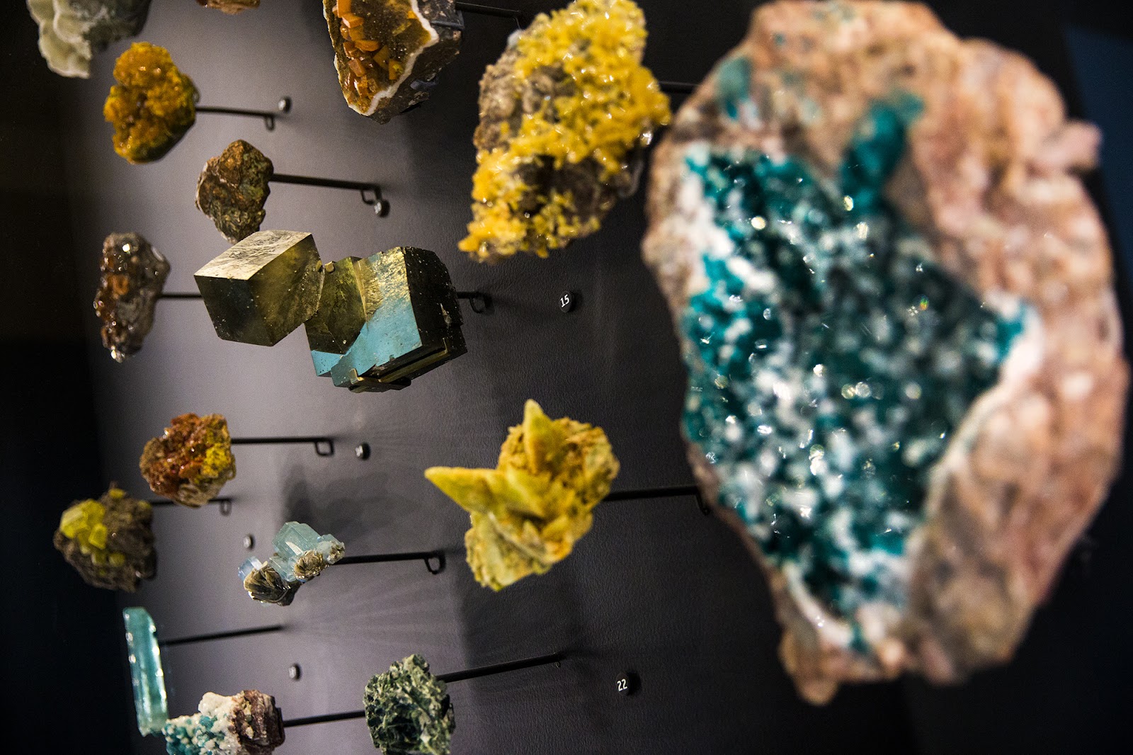 Natural History Museum of Utah in Salt Lake City - natural history museum (11)