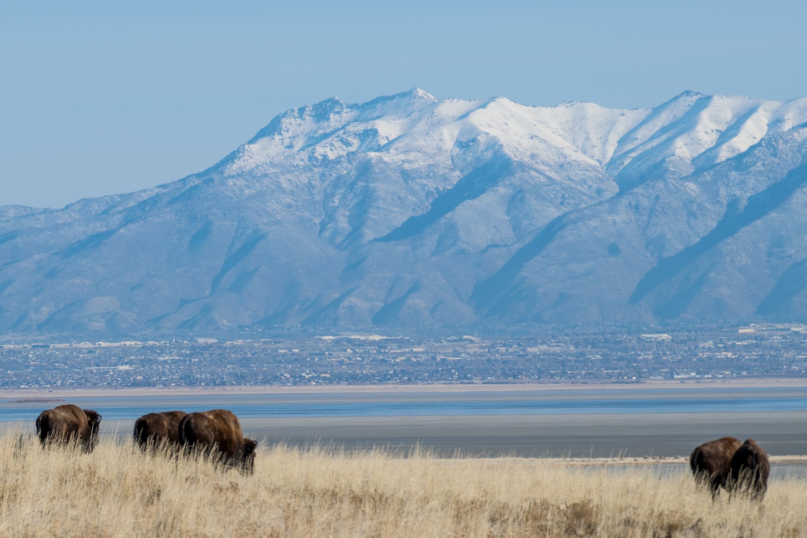 Antelope Island State Park in Salt Lake City - state park (2)