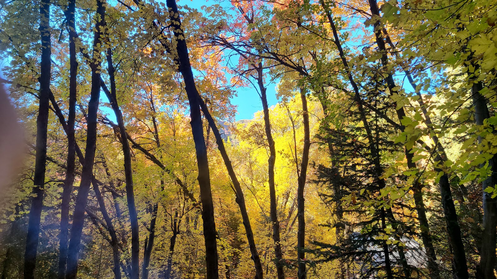 Millcreek Canyon in Salt Lake City - hiking area (8)