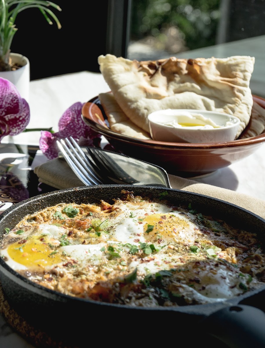 Laziz Kitchen Central 9th in Salt Lake City - signature dining scene