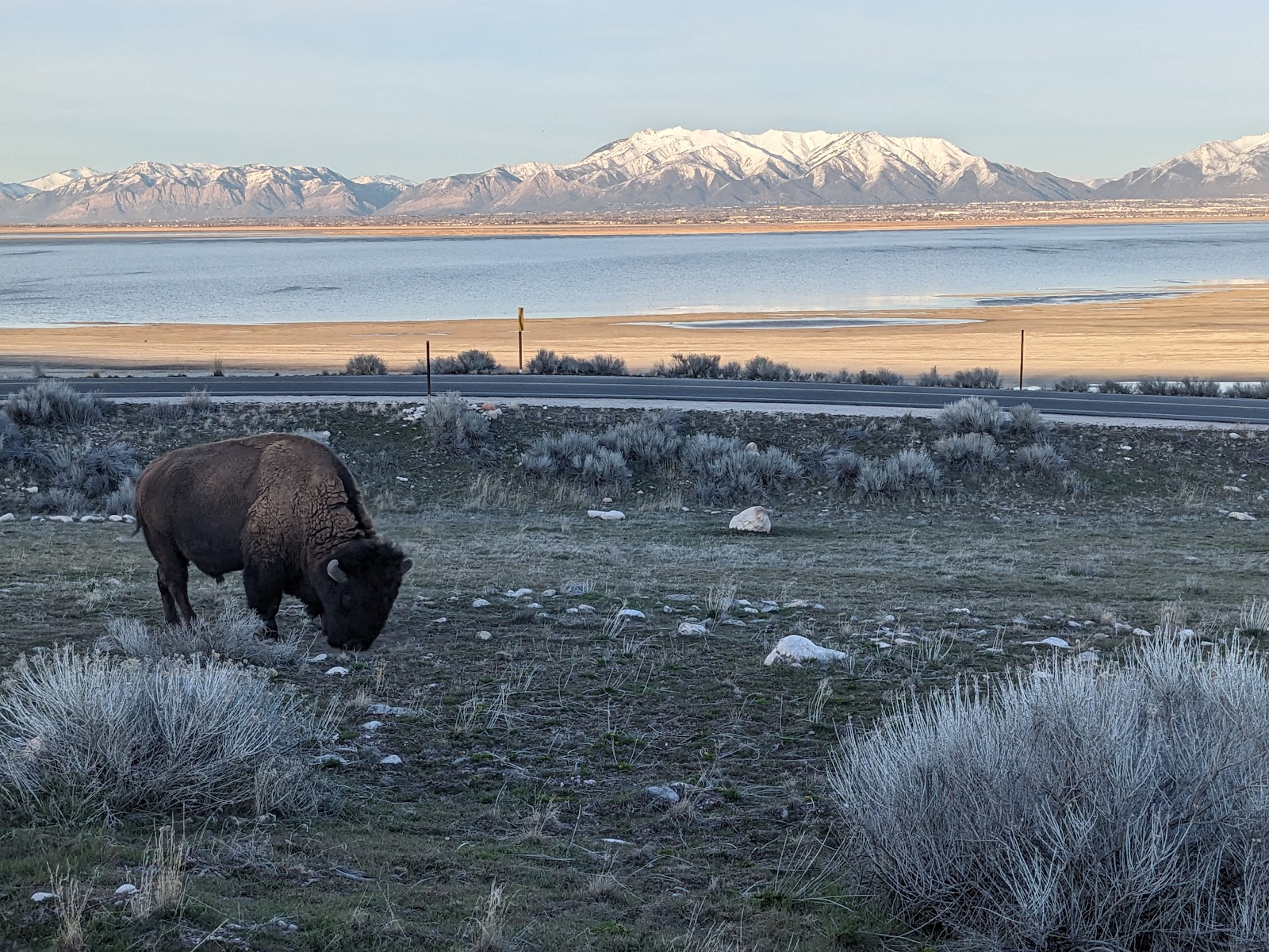 Antelope Island State Park in Salt Lake City - state park (6)
