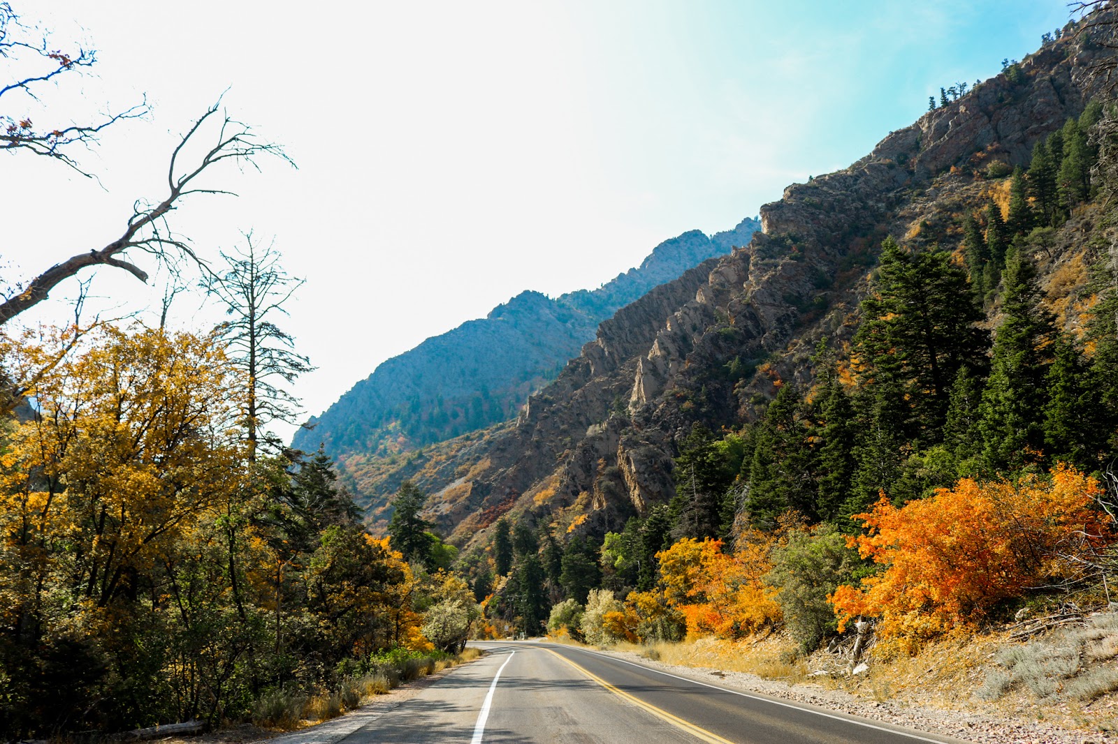Big Cottonwood Canyon in Salt Lake City - ravine (6)