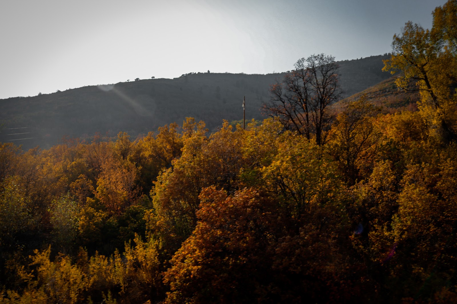 Big Cottonwood Canyon in Salt Lake City - ravine (10)