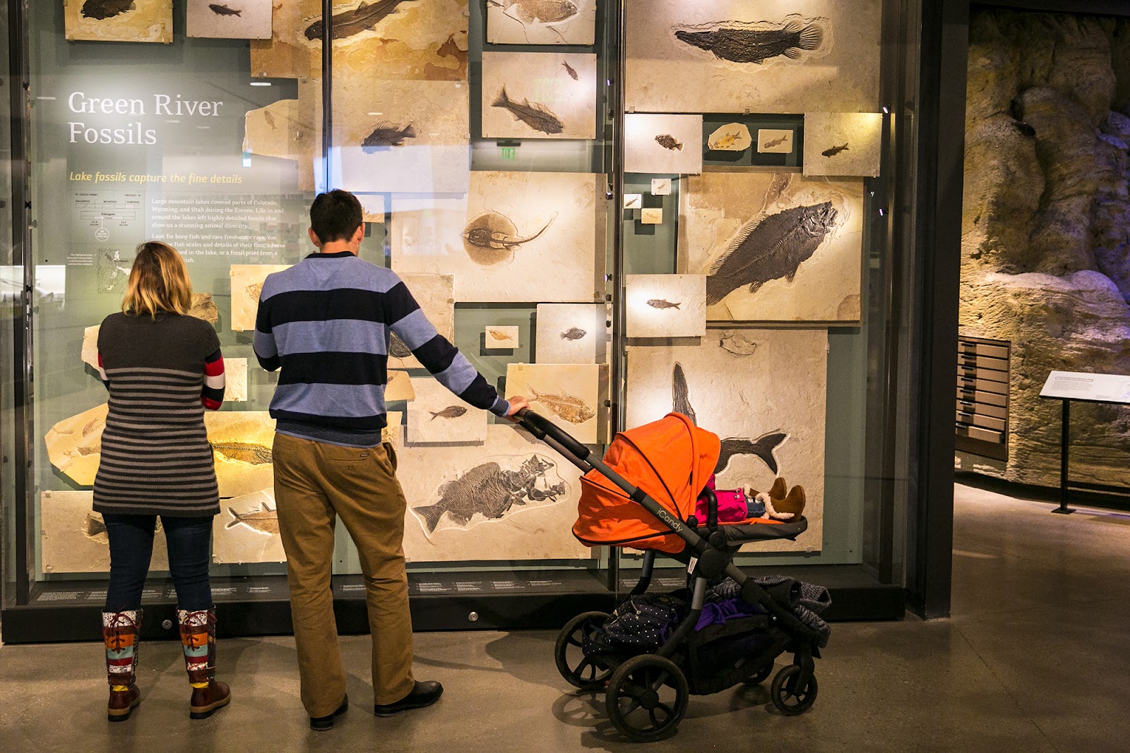 Natural History Museum of Utah in Salt Lake City - natural history museum (12)