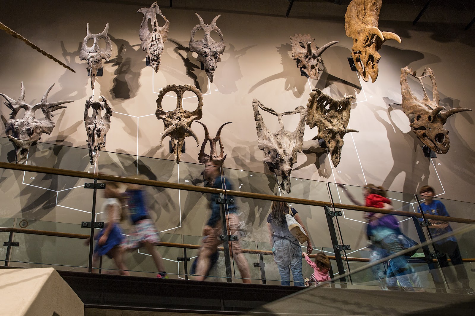 Natural History Museum of Utah in Salt Lake City - natural history museum (9)