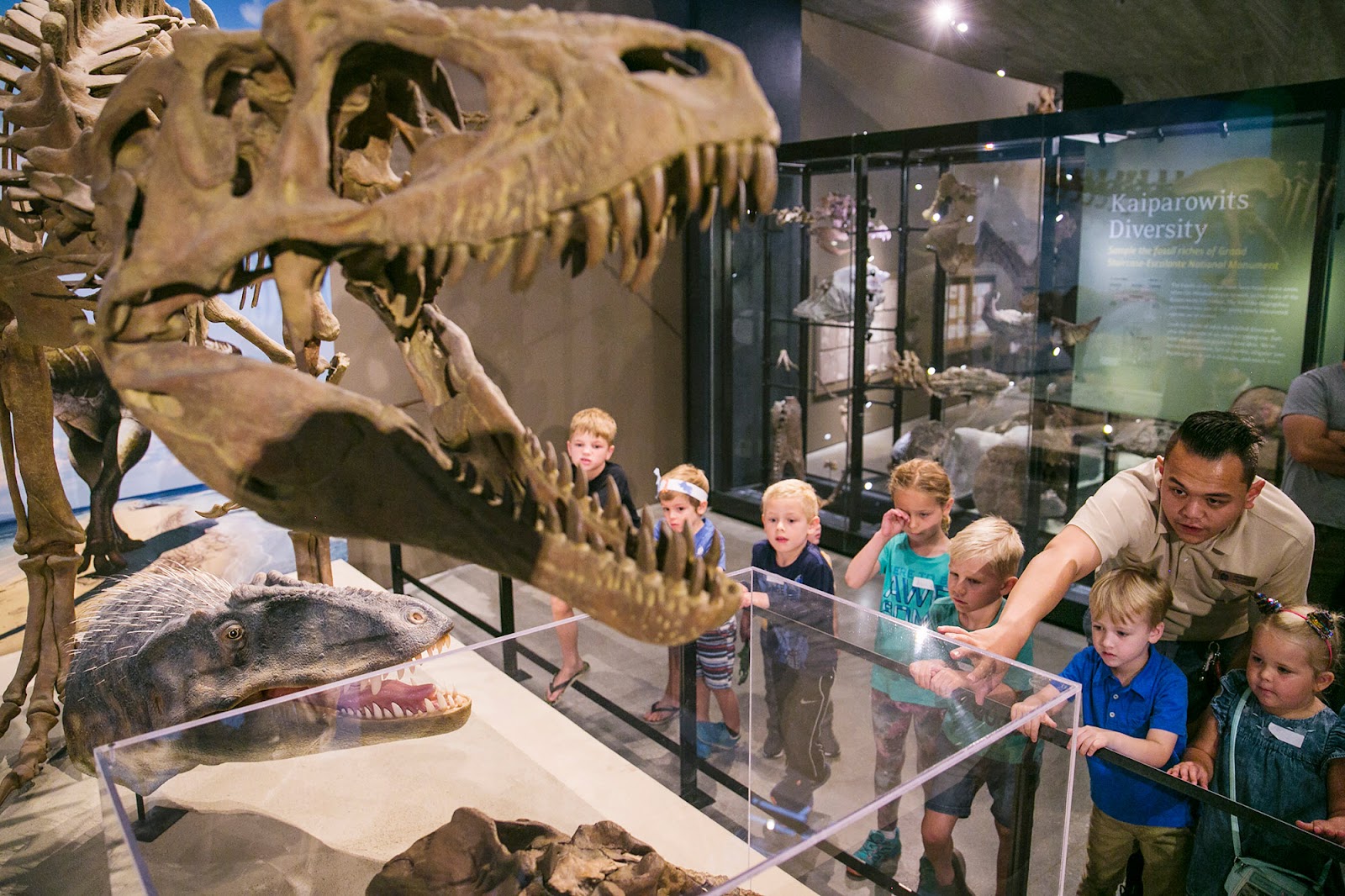 Natural History Museum of Utah in Salt Lake City - natural history museum (5)