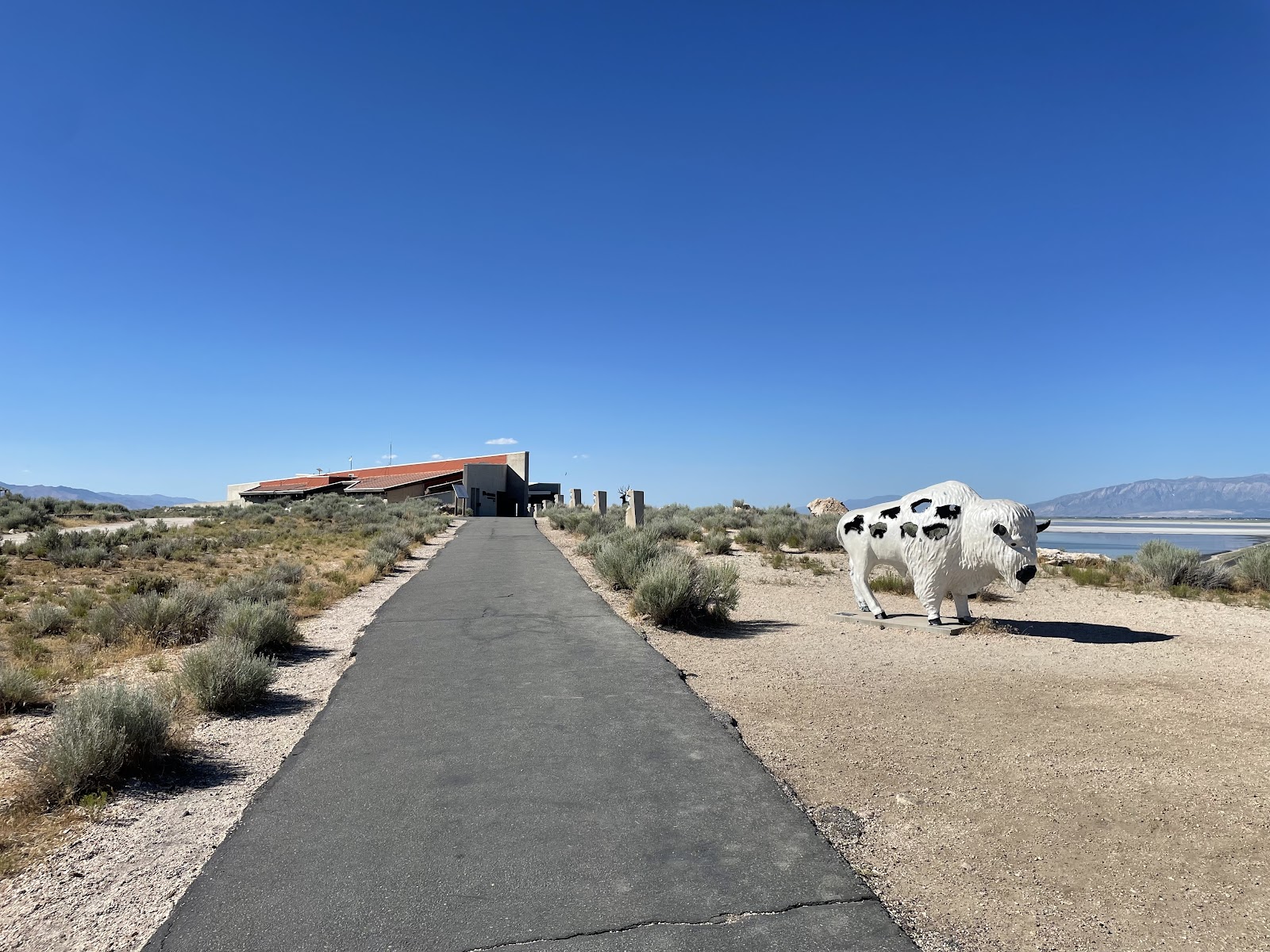 Antelope Island State Park in Salt Lake City - state park (8)