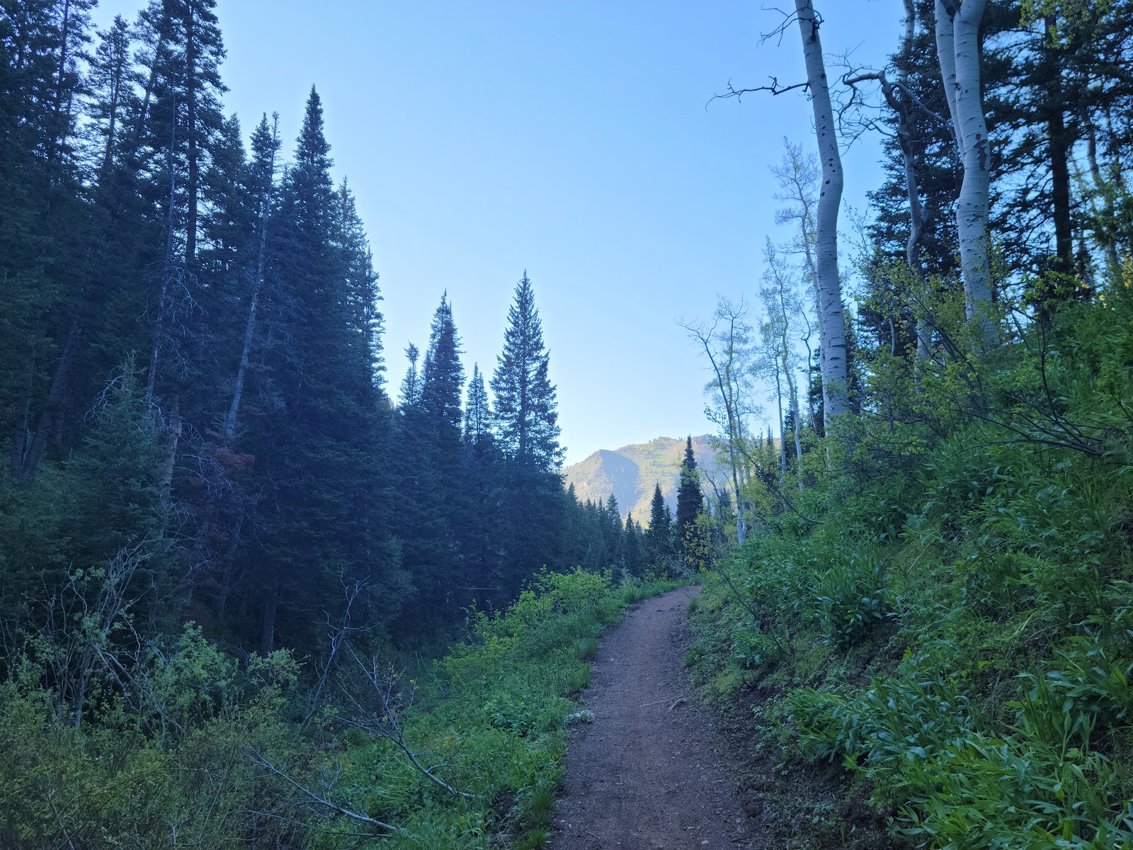 Millcreek Canyon in Salt Lake City - hiking area