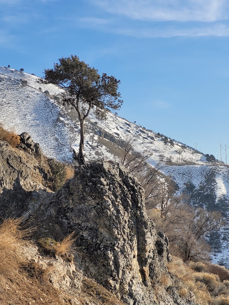 Bonneville Shoreline Trail in Salt Lake City - view (12)