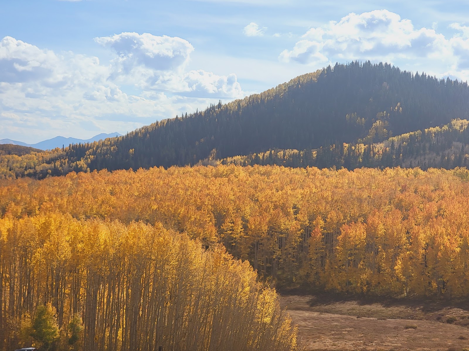Millcreek Canyon in Salt Lake City - hiking area (10)