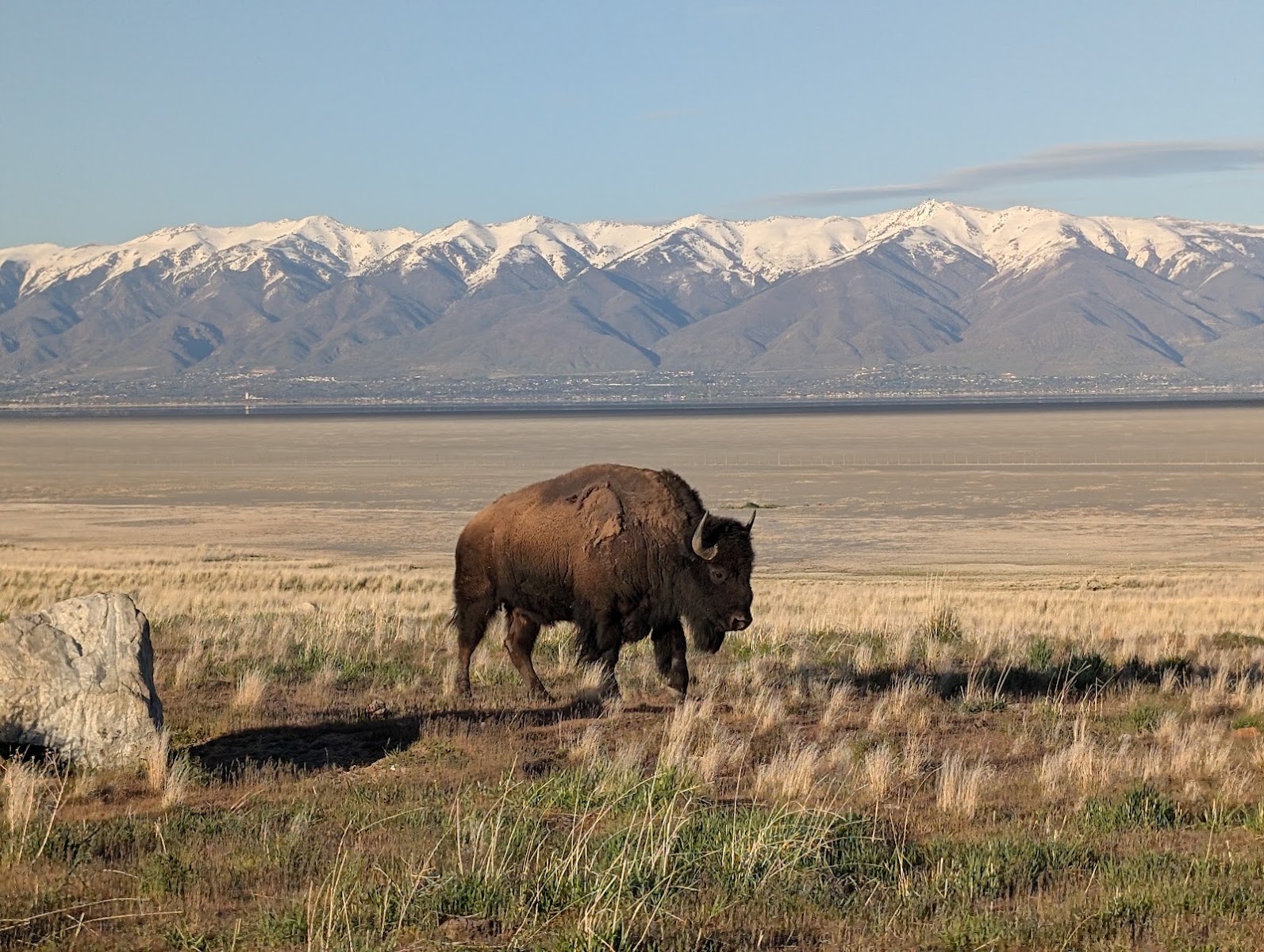 Antelope Island State Park in Salt Lake City - state park (4)