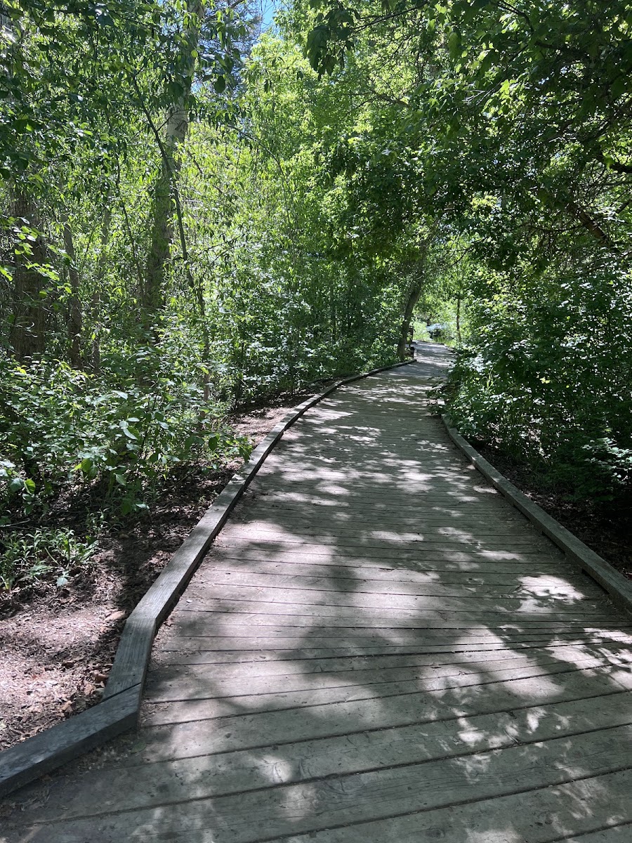 Millcreek Canyon in Salt Lake City - hiking area (12)