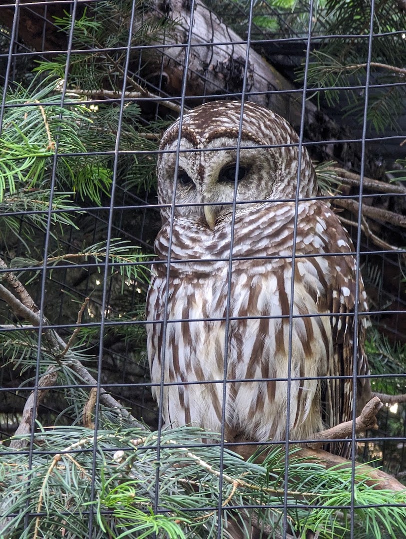 Tracy Aviary at Liberty Park in Salt Lake City - zoo (8)