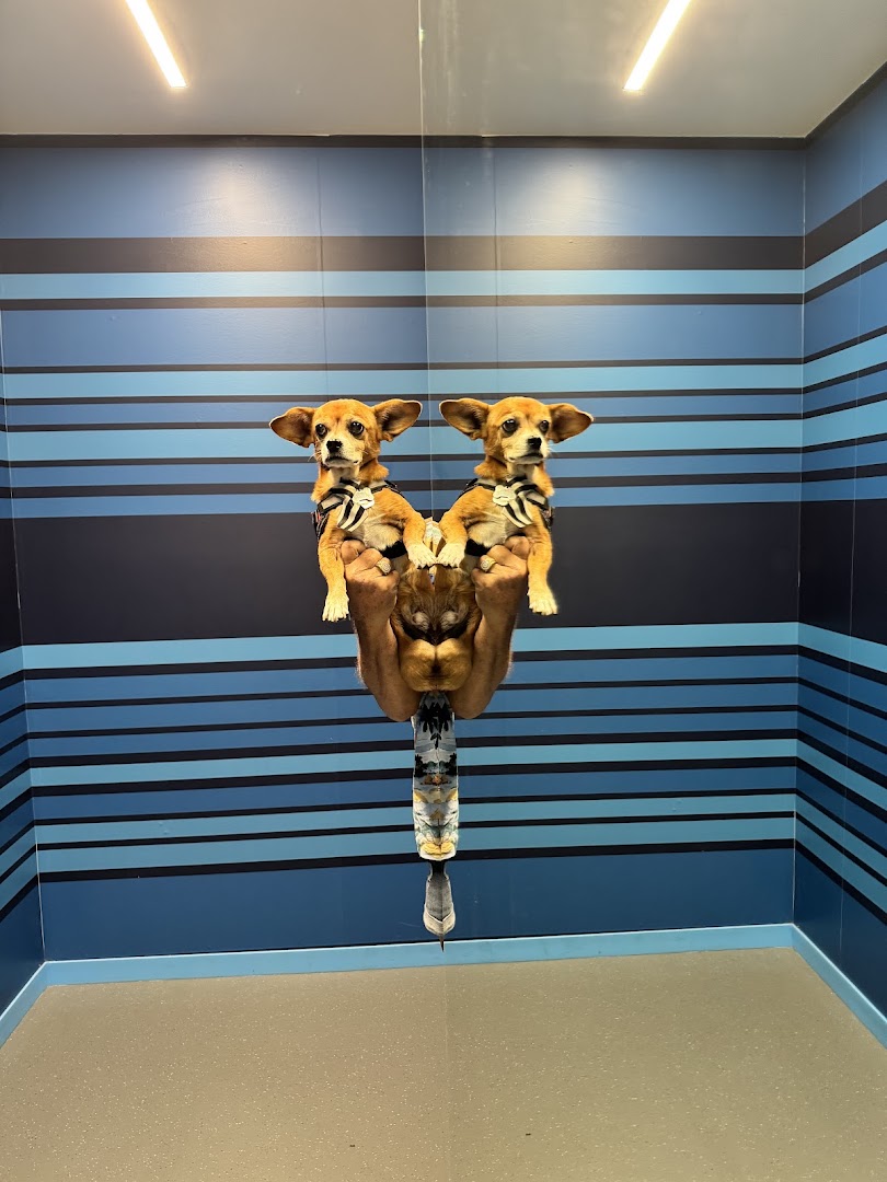 Museum of Illusions - Salt Lake City in Salt Lake City - museum (9)